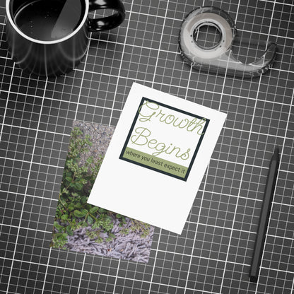 Where the Allseed Grows Postcard – Urban Nature Minimalist Botanical Stationery with Concrete Texture