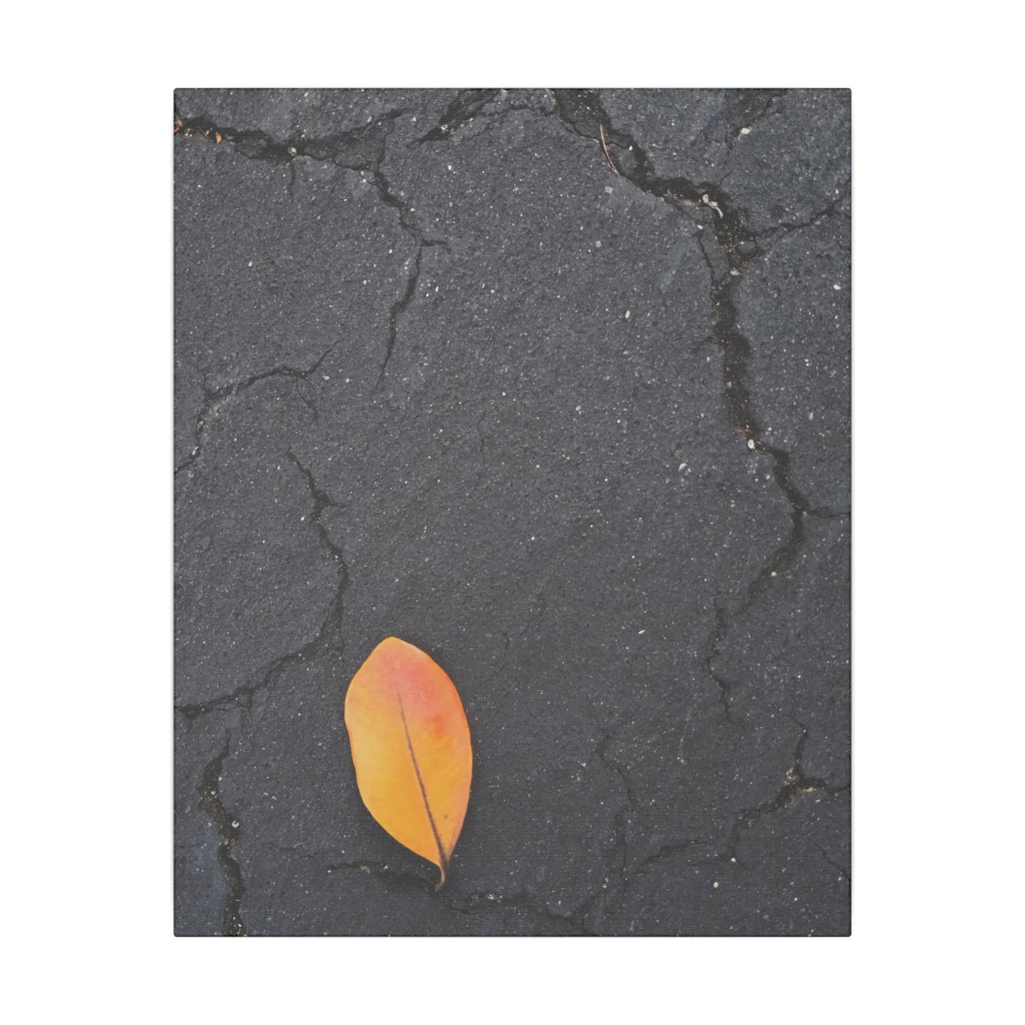 Orange Leaf Against Black Concrete Minimalistic Canvas Print – Contemporary Nature Photography Wall Art