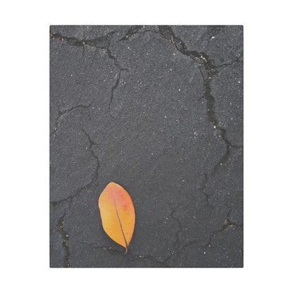 Orange Leaf Against Black Concrete Minimalistic Canvas Print – Contemporary Nature Photography Wall Art