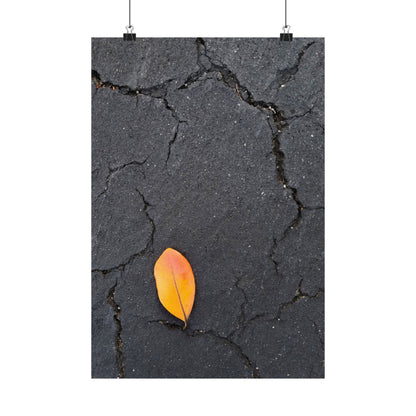 Orange Leaf Against Black Concrete Poster – Minimalist Nature Photography Wall Art