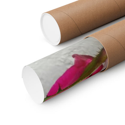 Bougainvillea Against White Stucco Wall Poster – Vibrant Floral Photography Wall Art