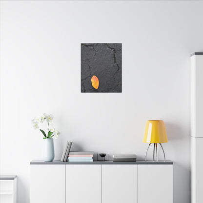 Orange Leaf Against Black Concrete Minimalistic Canvas Print – Contemporary Nature Photography Wall Art