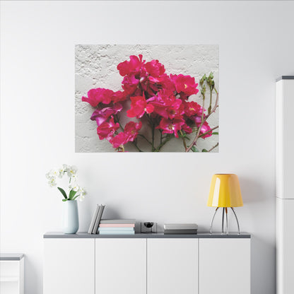 Bougainvillea art canvas print for nature-inspired interiors