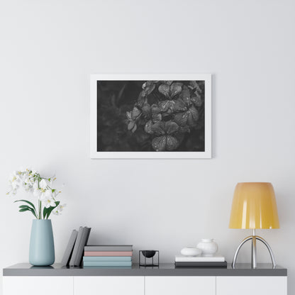 Geranium After a Light Rain Framed Print – Moody Botanical Floral Art, Monochrome Nature-Inspired Wall Decor