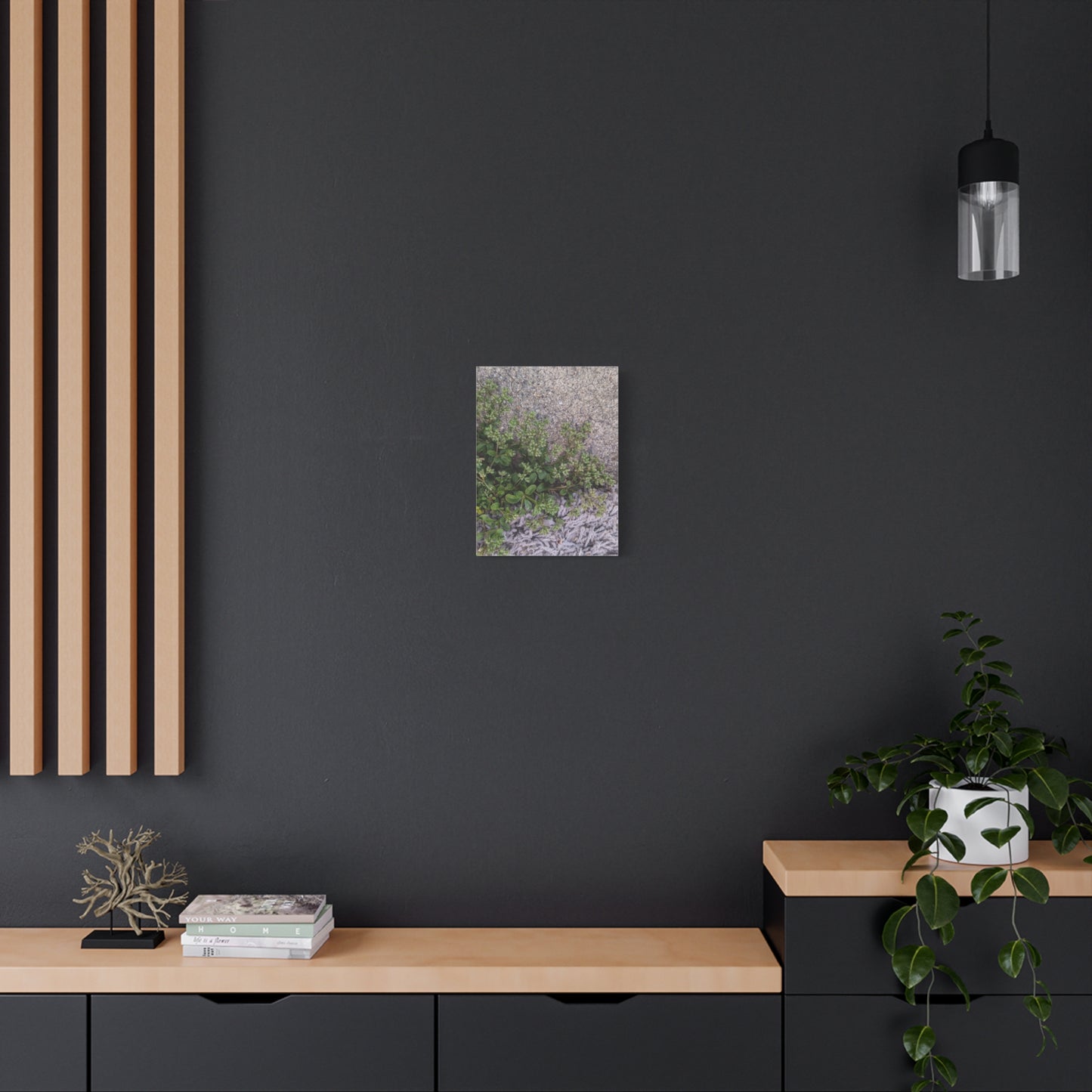 Where the Allseed Grows Canvas Print – Urban Nature Minimalist Botanical Wall Art with Concrete Texture