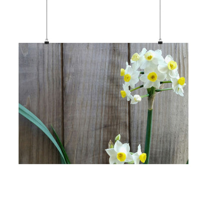 Daffodils by the Fence Poster – Rustic Spring Floral Wall Art for Cottagecore and Botanical Decor
