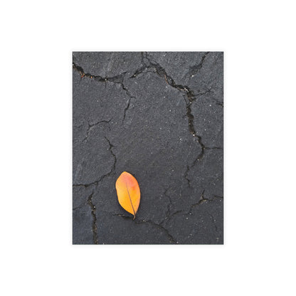 Orange Leaf on Black Concrete Inspirational Postcard – Minimalist Autumn Decor for Modern Homes