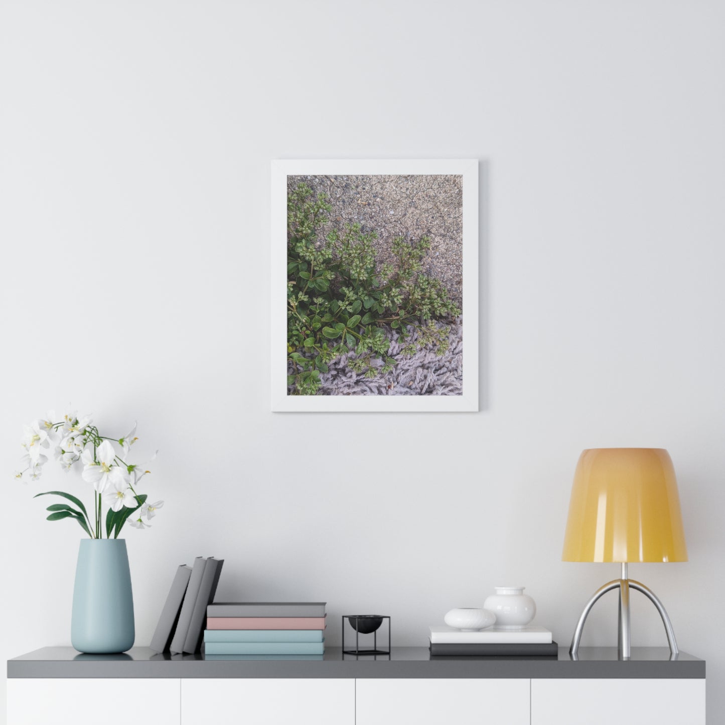 Where the Allseed Grows Framed Print – Urban Nature Minimalist Botanical Wall Art with Concrete Texture