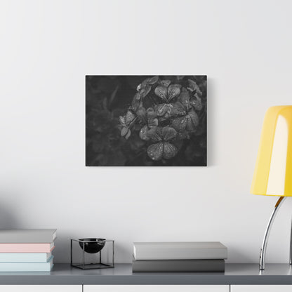 Vintage noir floral canvas print in dark academia style