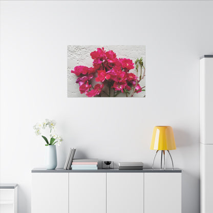 Mediterranean flower canvas wall art for stylish homes