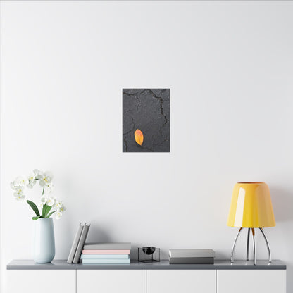 Orange Leaf Against Black Concrete Minimalistic Canvas Print – Contemporary Nature Photography Wall Art