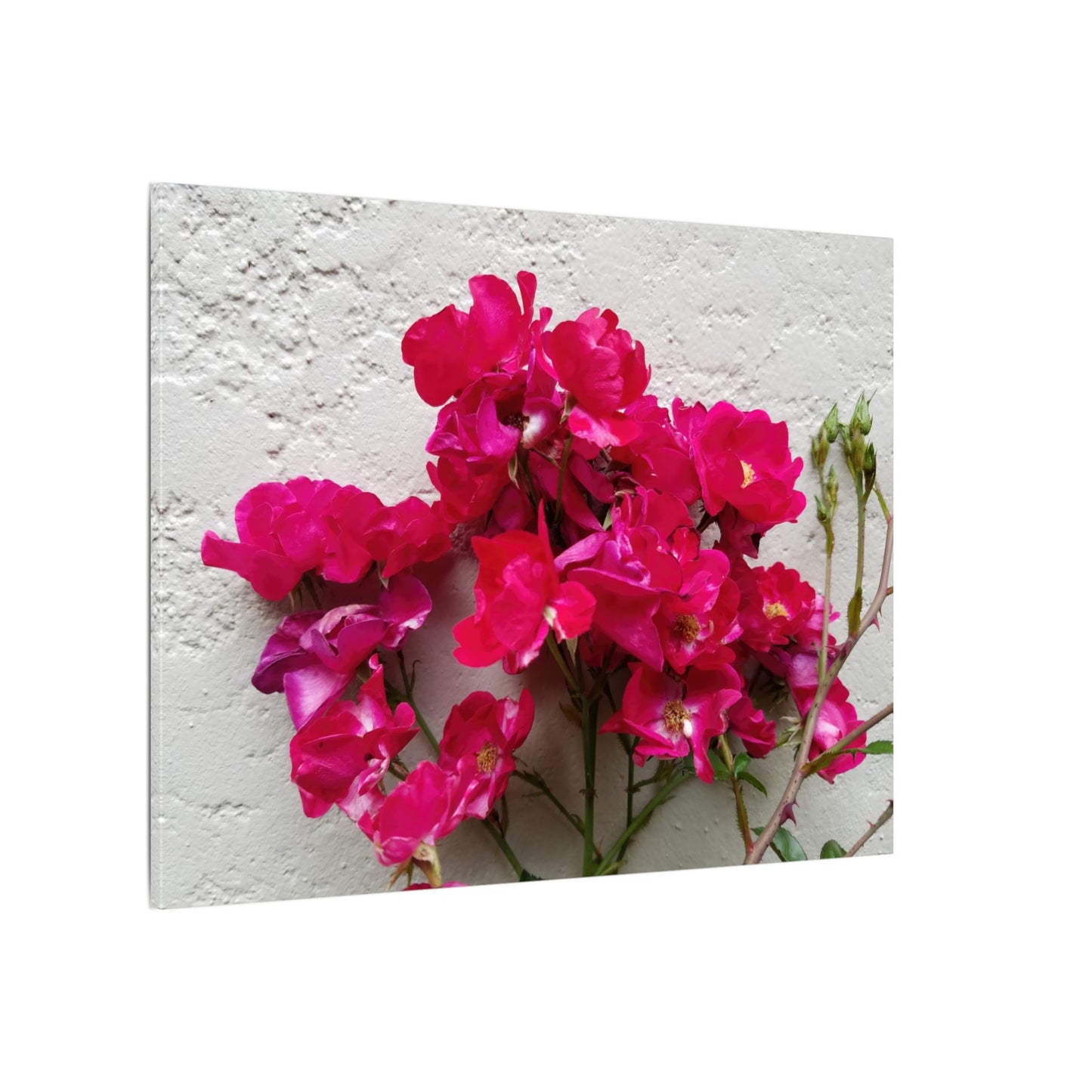 Cottage garden floral canvas wall print with bougainvillea