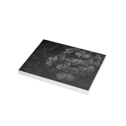 Geranium After a Light Rain Postcard – Moody Botanical Photography, Monochrome Floral Stationery for Thoughtful Correspondence