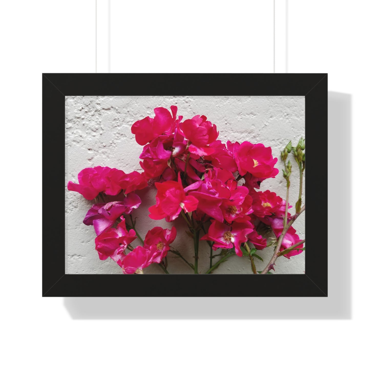 Bougainvillea Against White Stucco Wall Framed Print – Mediterranean Floral Wall Art, Summer Bloom Botanical Decor