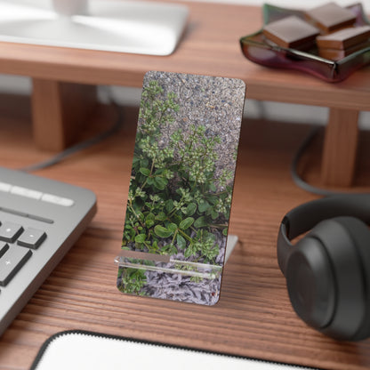 Where the Allseed Grows Phone Stand – Urban Nature Minimalist Smartphone Holder with Botanical Concrete Texture