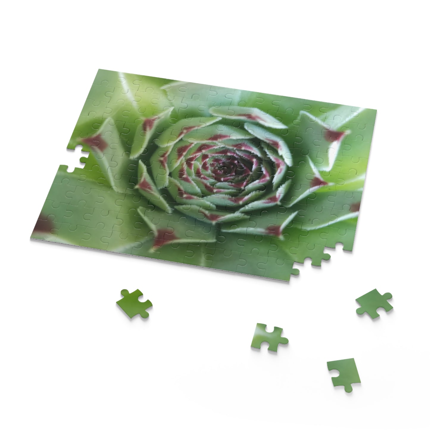 Pale Green Spiky Succulent Puzzle – Minimalist Botanical Jigsaw for Relaxing Desert-Inspired Fun