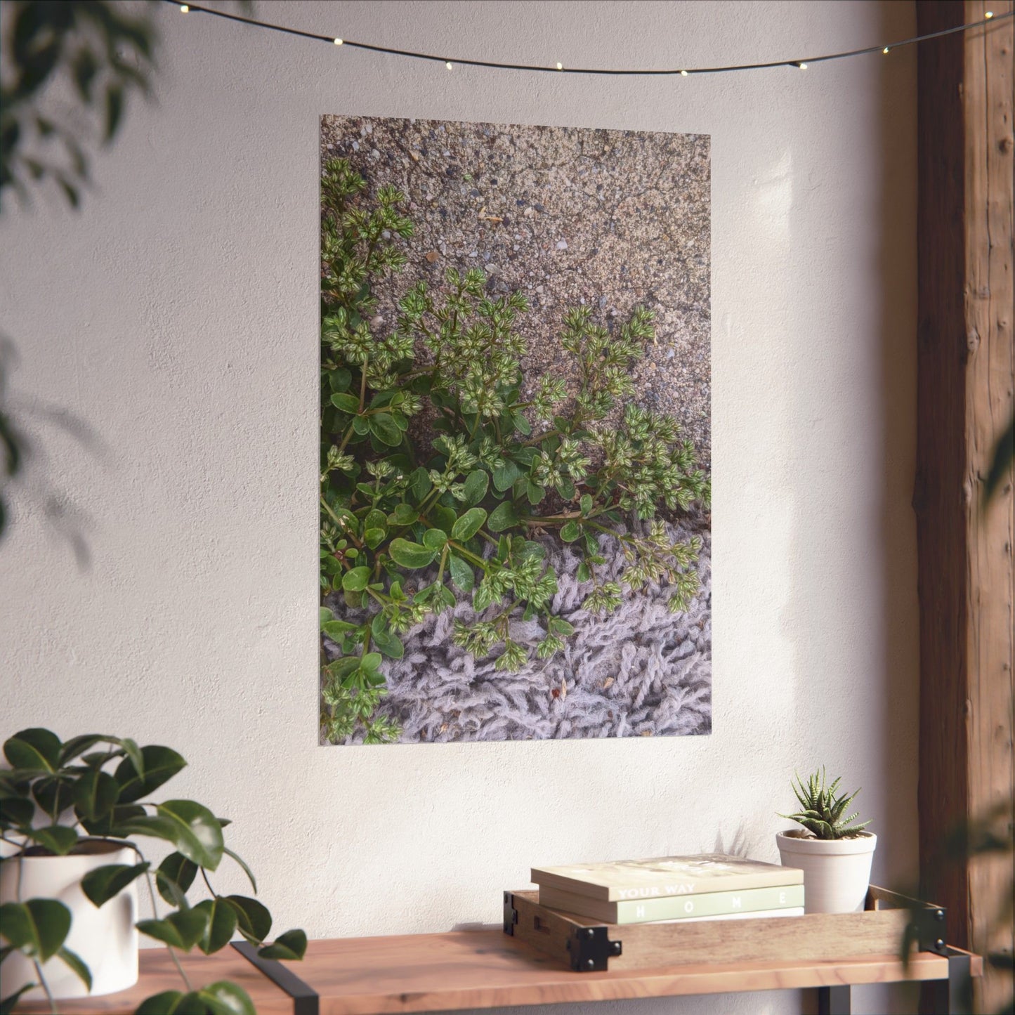 Where the Allseed Grows Poster – Urban Nature Minimalist Wall Art with Concrete Texture and Botanical Contrast
