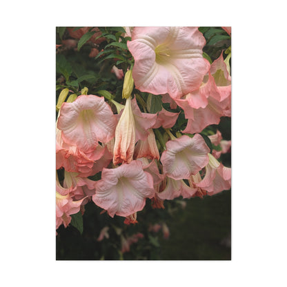 Angels in the Garden Canvas Wall Art - Vibrant Floral Design Nature Photography Decor