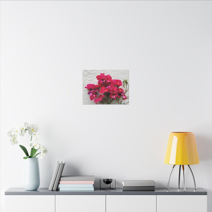 Mediterranean floral canvas print for modern interiors
