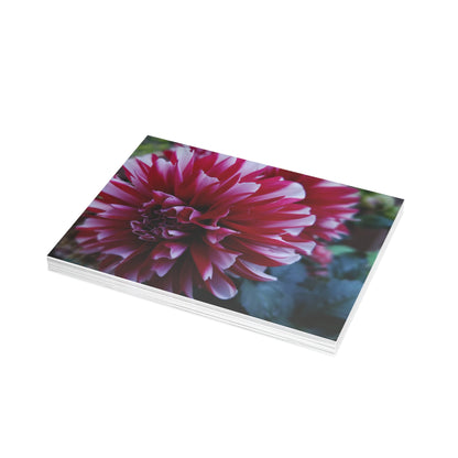 Red and White Dahlia Postcard – Botanical Floral Stationery for Garden-Inspired Correspondence