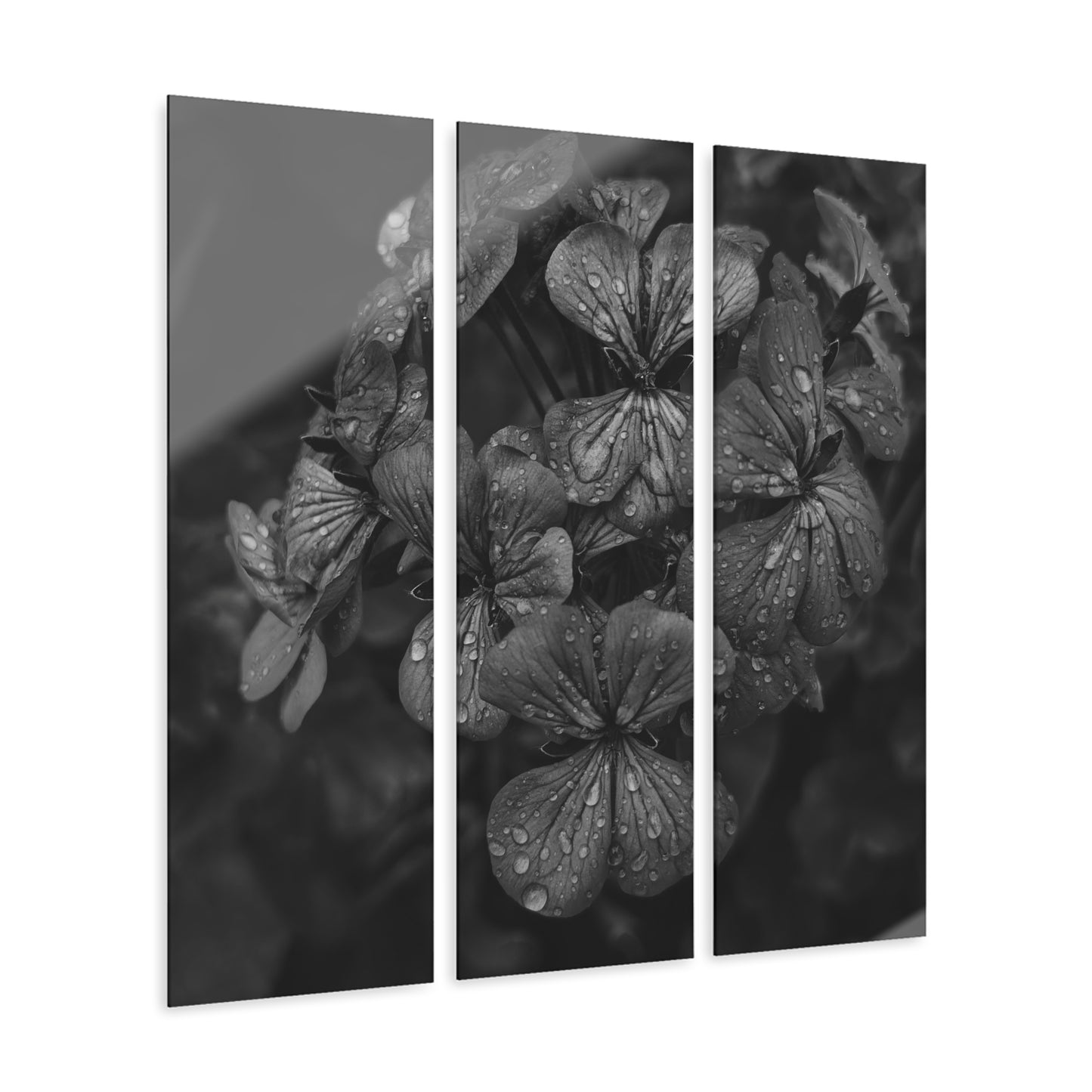 Geranium After a Light Rain Acrylic Triptych – Black and White Floral Triptych Wall Art for Modern Botanical Home Decor