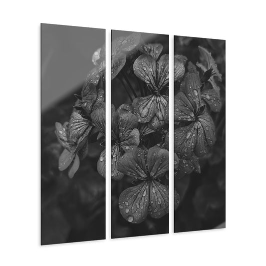 Geranium After a Light Rain Acrylic Triptych – Black and White Floral Triptych Wall Art for Modern Botanical Home Decor