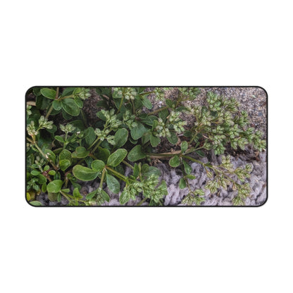 Where the Allseed Grows Desk Mat – Urban Nature Minimalist Botanical Workspace Mat with Concrete Texture Design
