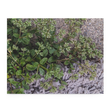 Where the Allseed Grows Puzzle – Urban Nature Minimalist Botanical Jigsaw with Concrete Texture