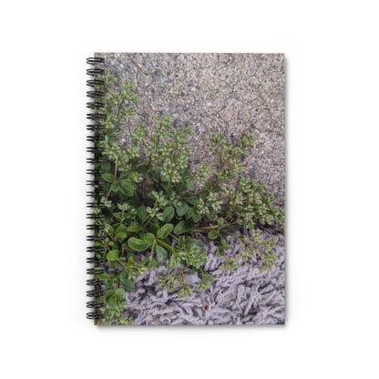 Where the Allseed Grows Notebook – Urban Nature Minimalist Botanical Journal with Concrete Texture Cover