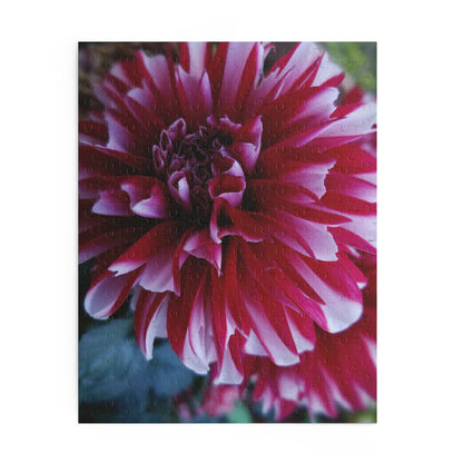 Red and White Dahlia Puzzle – Botanical Floral Jigsaw for Adults, Cottagecore Garden-Inspired Game Night Gift