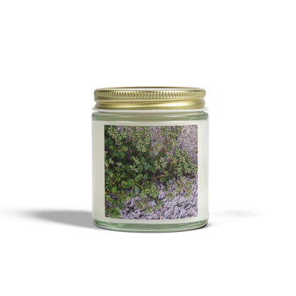 Where the Allseed Grows Jar Candle – Urban Nature Minimalist Scented Candle with Botanical Concrete Texture
