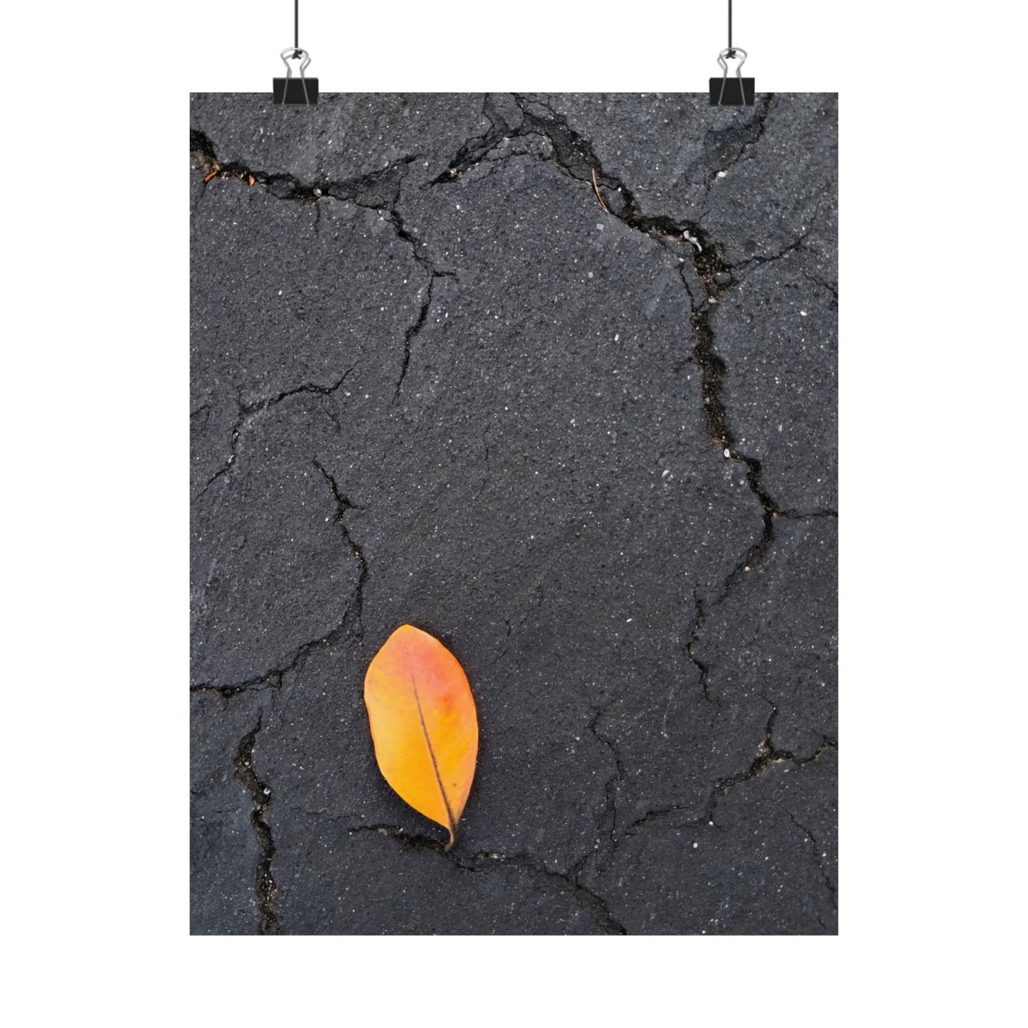 Orange Leaf Against Black Concrete Poster – Minimalist Nature Photography Wall Art