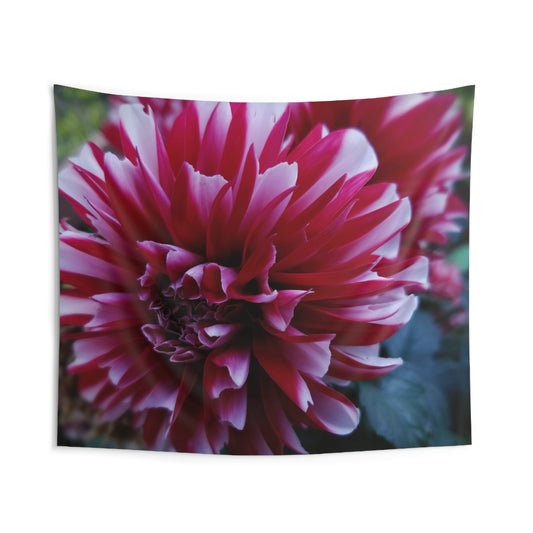 Red and White Dahlia Wall Tapestry – Botanical Floral Wall Hanging, Cottagecore Summer Bloom Decor