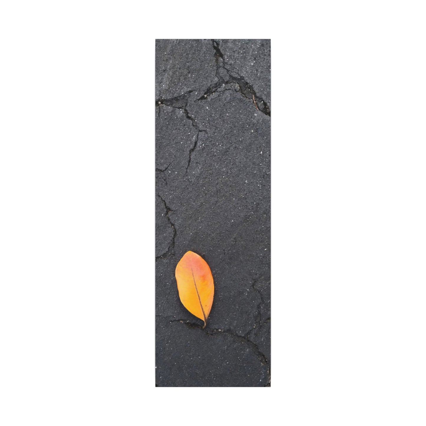 Orange Leaf Against Black Concrete Minimalistic Canvas Print – Contemporary Nature Photography Wall Art