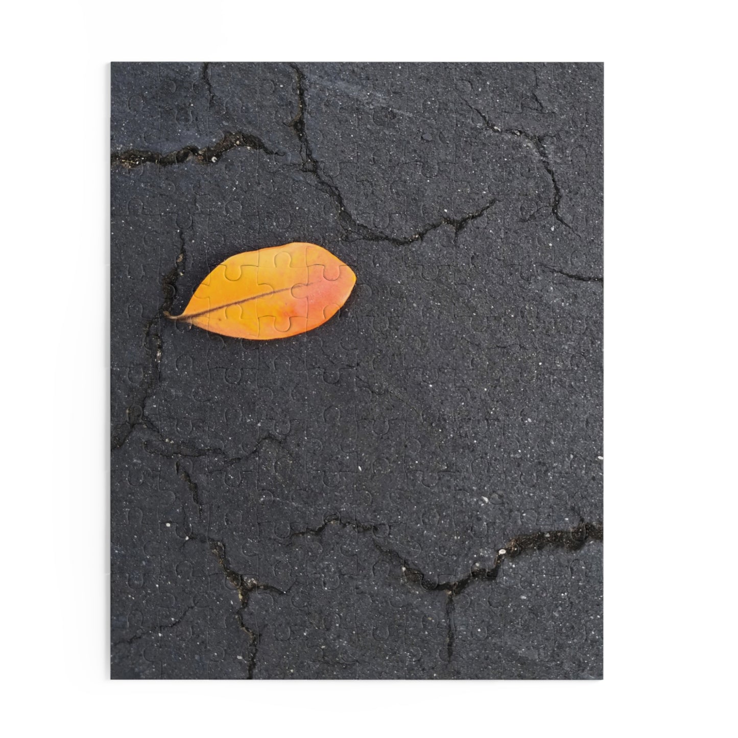 Orange Leaf on Black Concrete Puzzle – Moody Autumn Jigsaw for Minimalist Fall Decor and Nature Lovers