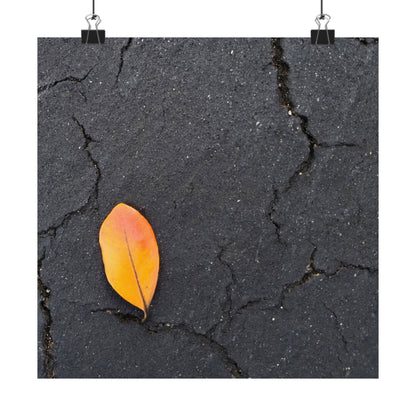 Orange Leaf Against Black Concrete Poster – Minimalist Nature Photography Wall Art