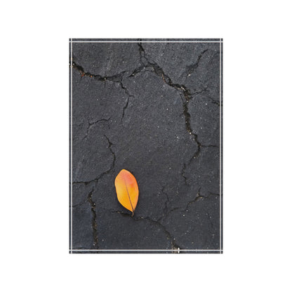 Orange Leaf on Black Concrete Acrylic Block – Minimalist Urban Autumn Wall Art Print for Modern Rustic Decor