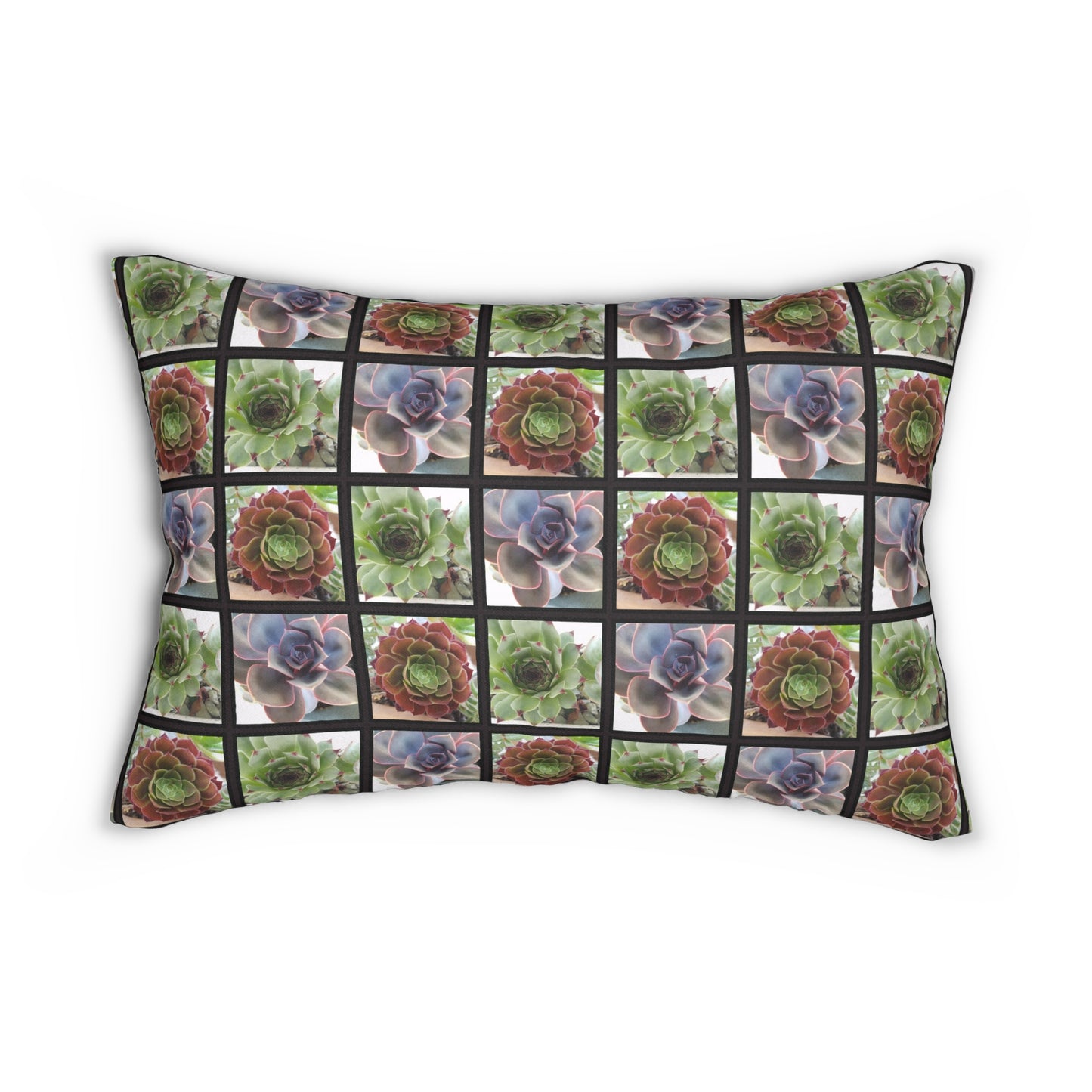 Succulent Photo Grid Lumbar Pillow – Botanical Plant Lover Cushion for Garden-Inspired or Nature Decor Homes