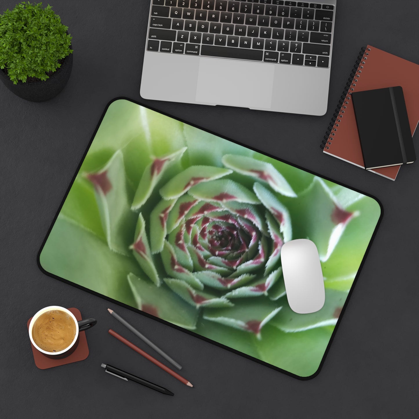 Pale Green Spiky Succulent Desk Mat – Minimalist Botanical Desk Accessory for Modern Office Decor