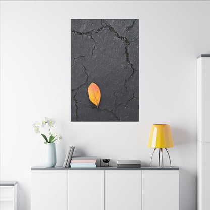 Orange Leaf Against Black Concrete Minimalistic Canvas Print – Contemporary Nature Photography Wall Art