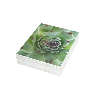 Pale Green Spiky Succulent Postcard – Botanical Art Print for Calm Minimalist Correspondence and Decor