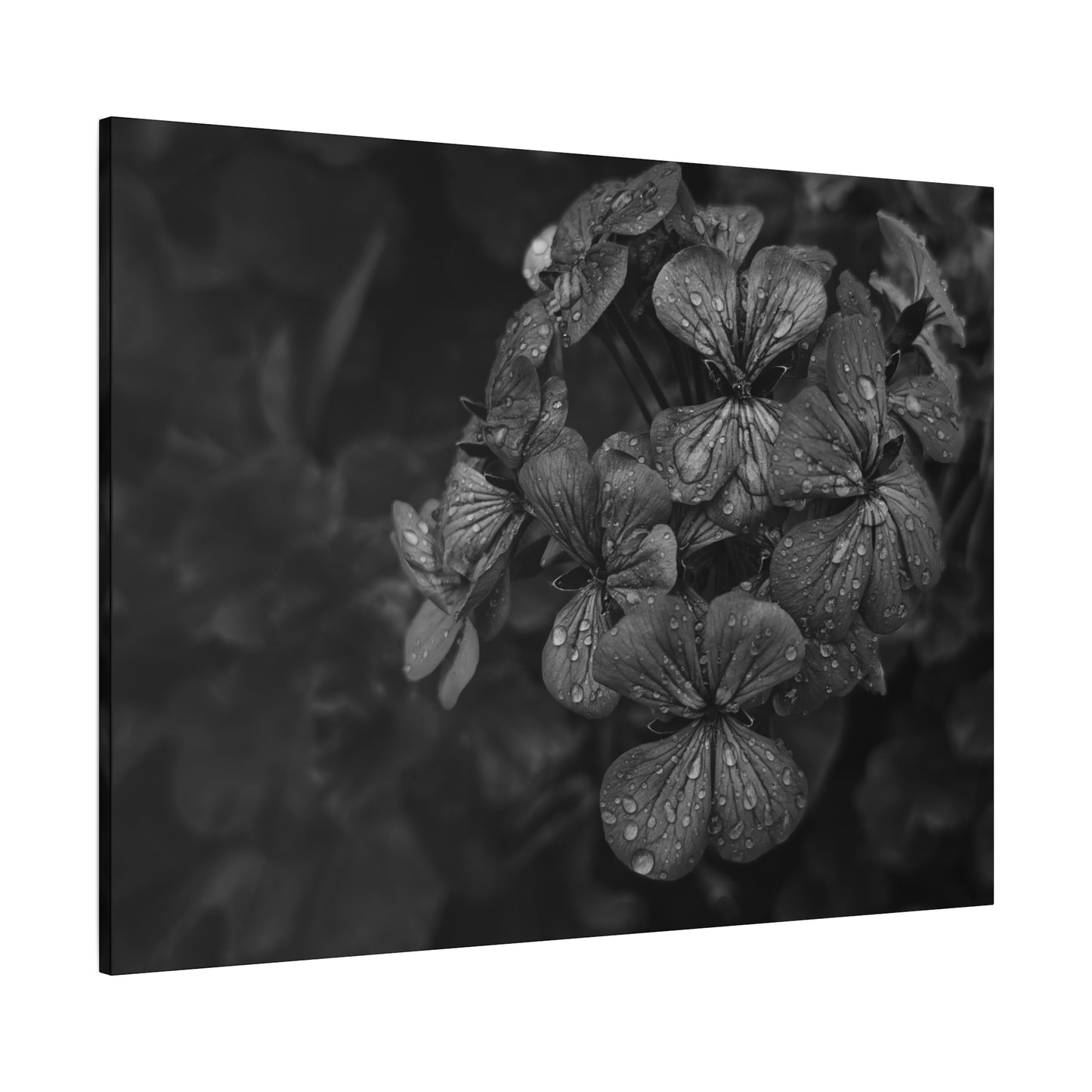 Rainy day aesthetic canvas artwork with floral subject