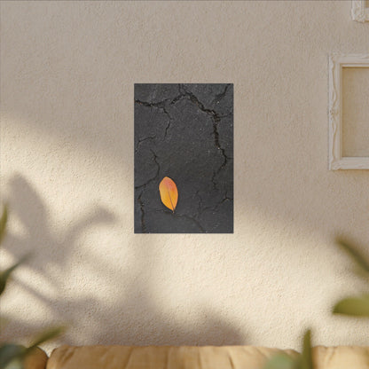 Orange Leaf Against Black Concrete Minimalistic Canvas Print – Contemporary Nature Photography Wall Art