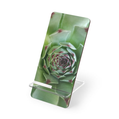 Pale Green Succulent Phone Stand – Modern Botanical Photography Phone Accessory
