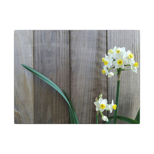 Daffodils by the Fence Canvas Print – Rustic Floral Photography Wall Art