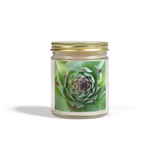 Pale Green Spiky Succulent Jar Candle – Minimalist Botanical Image Candle for Calm Desert-Inspired Decor