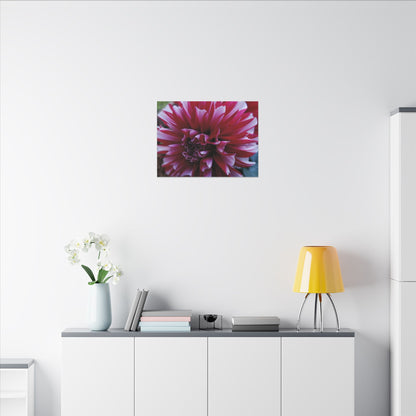 Red and White Dahlia Canvas Print – Bright Floral Nature Photography Wall Art