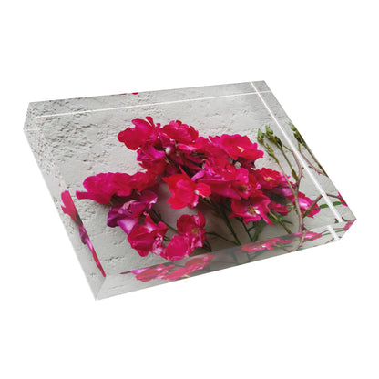 Bougainvillea Against White Stucco Wall Acrylic Print – Mediterranean Floral Wall Art, Summer Bloom Botanical Decor