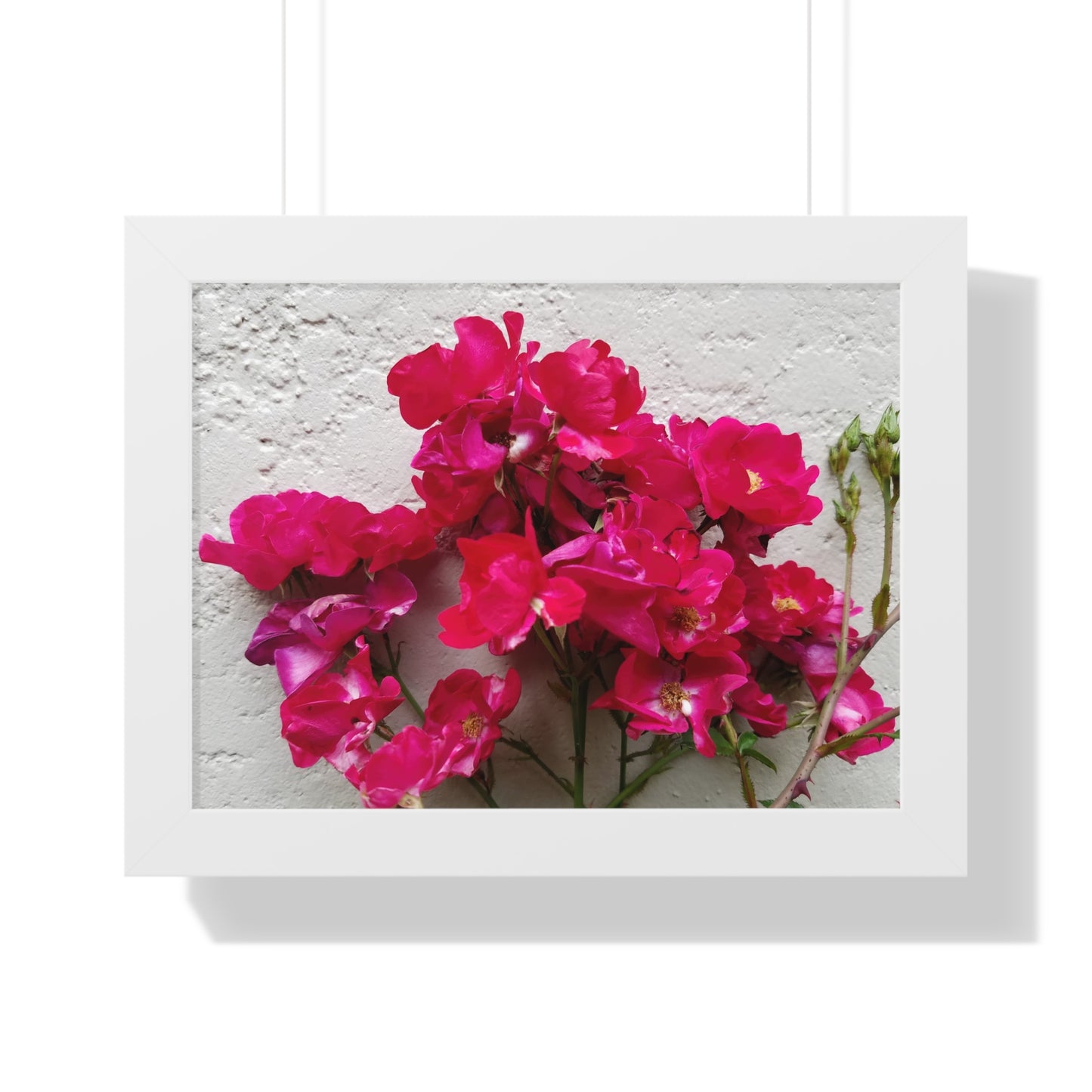 Bougainvillea Against White Stucco Wall Framed Print – Mediterranean Floral Wall Art, Summer Bloom Botanical Decor