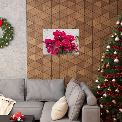 Bougainvillea Against White Stucco Wall Poster – Vibrant Floral Photography Wall Art
